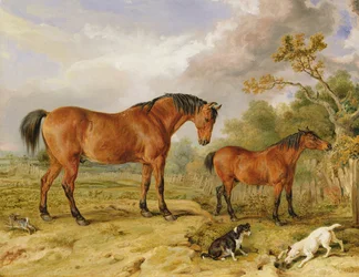 Retrato de Reformer, Blucher, Tory y Crib, propiedad de Rowland Alston, Esq.