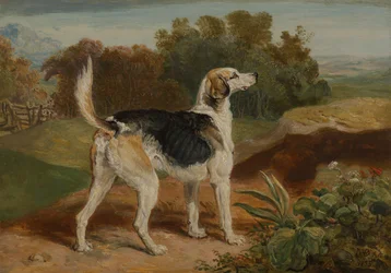 Ravager, uno de los sabuesos de Lambton