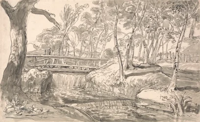 Paisaje fluvial con cascada