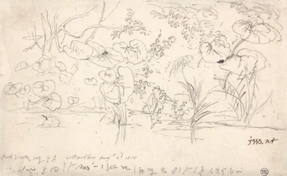 Estudios sobre las plantas, 2 de agosto de 1815