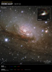 Galaxia Circinus (imagen del Hubble y el Webb)  