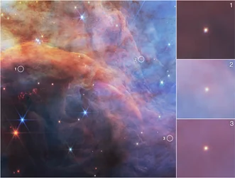 Objetos de baja masa en la Nebulosa de la Llama (imagen de la NIRCam)