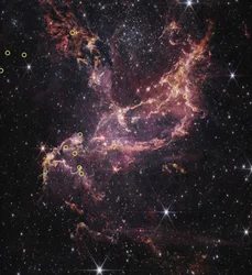 Discos protoplanetarios en NGC 346 (imagen de la NIRCam)