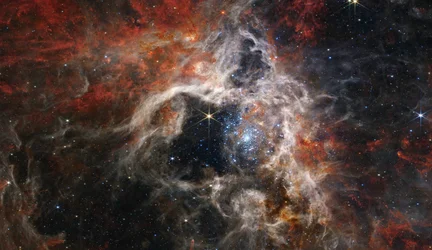 Nebulosa de la Tarántula (Imagen NIRCam)