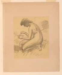 Desnudo femenino agachado