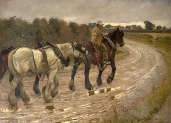De vuelta a casa
