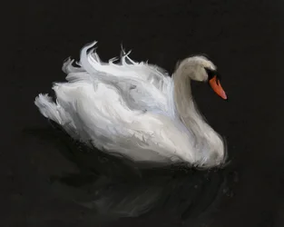 El elegante cisne blanco
