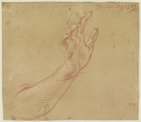 Estudio de un brazo derecho