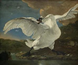 El cisne amenazado, c.1650