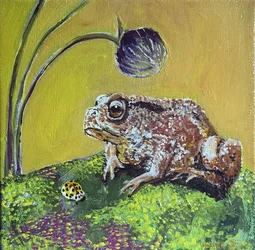 Sapo, 2023 (acrílico sobre lienzo)