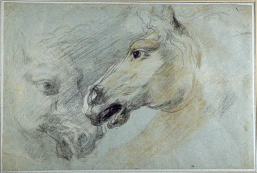 Dos estudios de la cabeza de un caballo