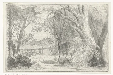 Parque paisaje con ciervos
