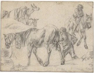 Hoja de estudio con figuras, caballos y burros