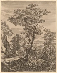 El gran árbol