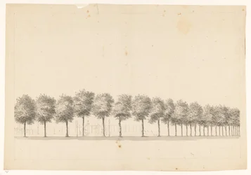 Bomenallee en Batavia