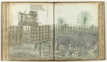 Corral de juego y molienda de elefantes
