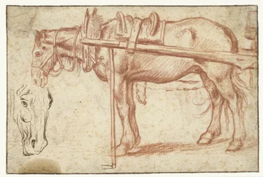Caballo delante de un carro y una cabeza de caballo