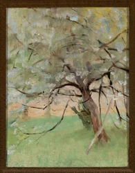 Manzano