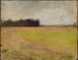 Paisaje de Finlandia