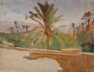Biskra (Oasis con palmeras)