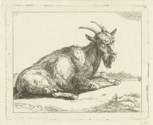 Cabra