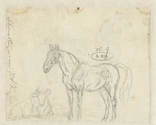 Bosquejo de un caballo y una vaca