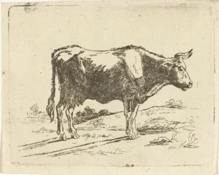 vaca de pie
