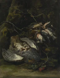 Una perdiz y aves de caza menor