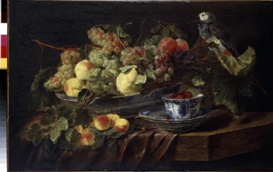 ""Bodegón con frutas y loros"" (Bodegón con frutas y loros) Pintura de Jan (Johannes) Fyt (1611-1661) 1645 Dim. 58,3x90,7 cm Museo del Hermitage, San Petersburgo