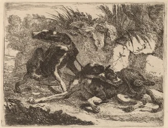 Dos galgos, atados y mirando en direcciones opuestas