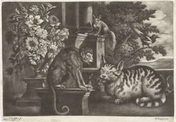 Aap, kat, eekhoorn y ekster