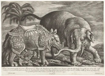 Olifant en Neushoorn Una verdadera representación de las dos grandes obras maestras de la naturaleza, el elefante y el rinoceronte (título sobre el objeto)