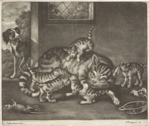 Gato con cinco niños