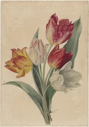 Ramo de tulipanes