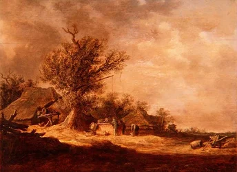 Paisaje en las dunas
