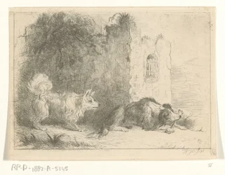 Dos perros