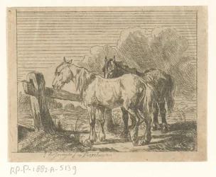 Pasto con dos caballos