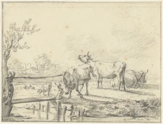 vacas en un prado
