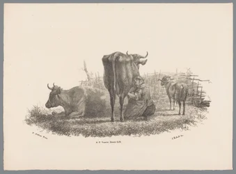 La esposa del granjero ordeñando, dos vacas y un carnero Beesten Studien por J. Kobell después de Paul Potter Nr. 1 (título de la serie)
