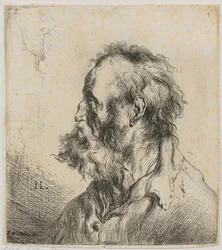 Retrato de busto de un anciano barbudo