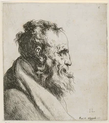 Busto de un anciano barbudo, de perfil hacia la derecha