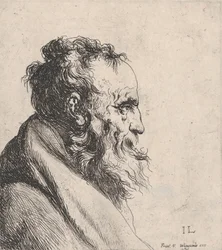 Busto de un Hombre Viejo