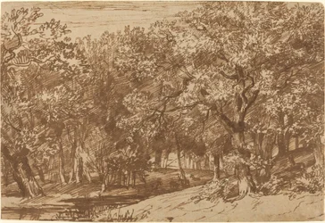 Parque de ciervos