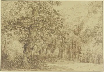 Escena de bosque, a la izquierda del camino un gran roble