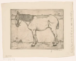 Caballo