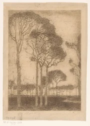Árboles en el borde de Oranjewoud