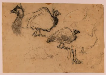 Boceto de una pintada