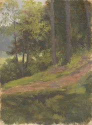 Camino en el Borde del Bosque
