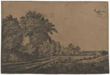 Camino rural con árboles