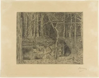 Bosque con estanque y cisnes